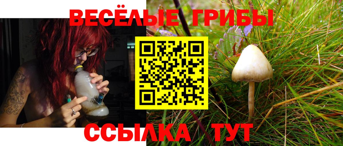 даркнет сайт  Вход с VPN  Псилоцибиновые грибы ЛСД  Лангепас  Галлюциногенные грибы Cubensis 